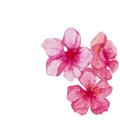 Enchanted Embrace: Fragrant Floral Symphony